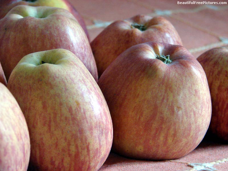 pictures of close-up of apples