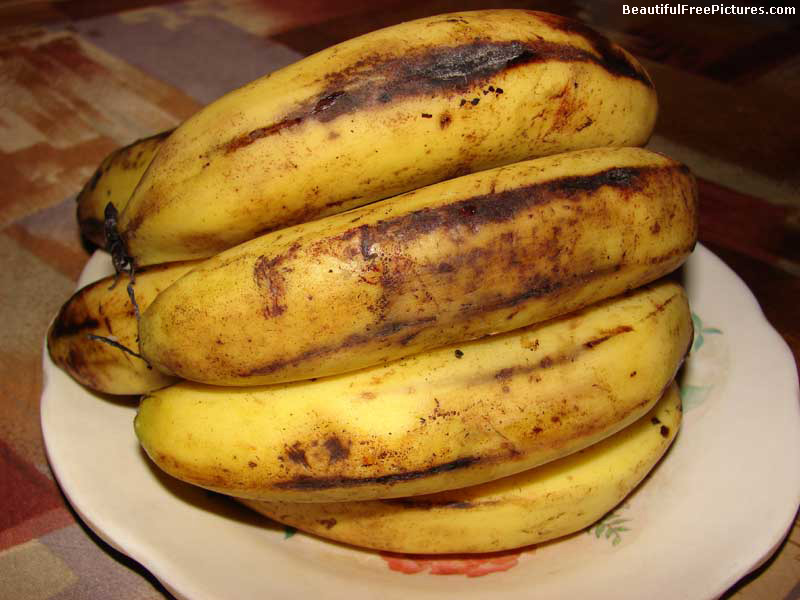 picture of bunch of bananas