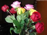 picture of a bunch of roses