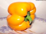 pictures of yellow bell pepper