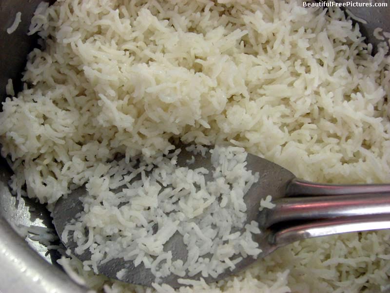 pictures of cooked rice