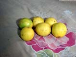 pictures of lemon