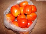 pictures of tomatoes