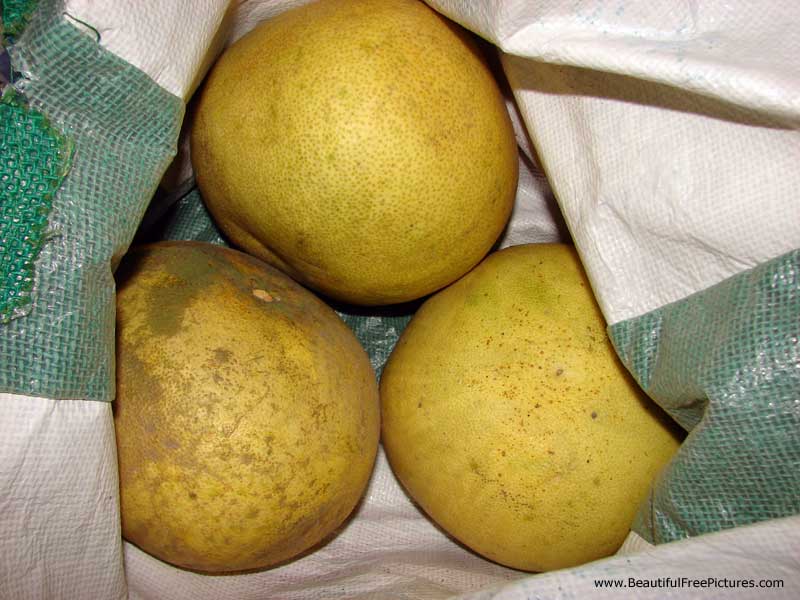 pictures of citrus fruit