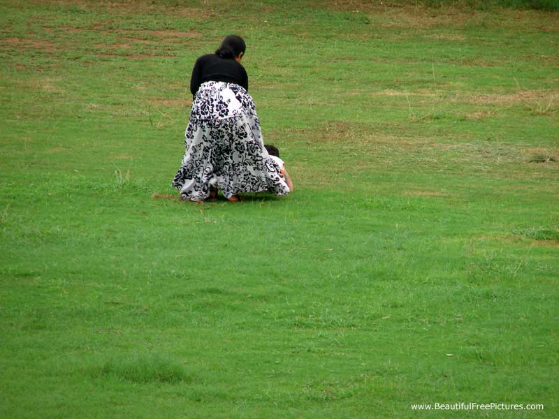 pictures of public green garden