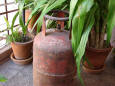 An LPG cylinder and flower pots
