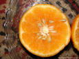 Most Beautiful Pictures 99 - citrus fruit