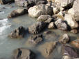 Nature 62 - picture of boulders in a river