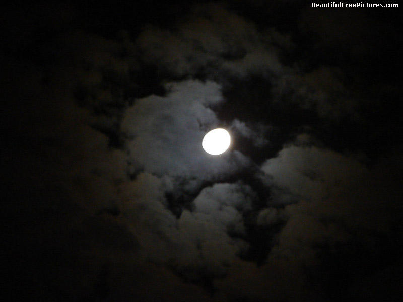 photos of moon at night