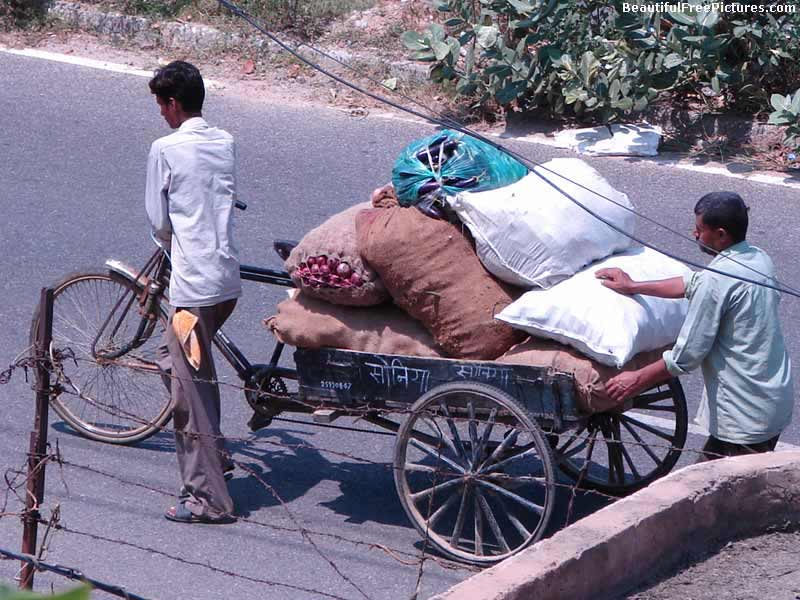images of vegetable carrying vehicle