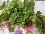 image of coriander leaves